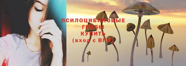 гидропоника Абинск