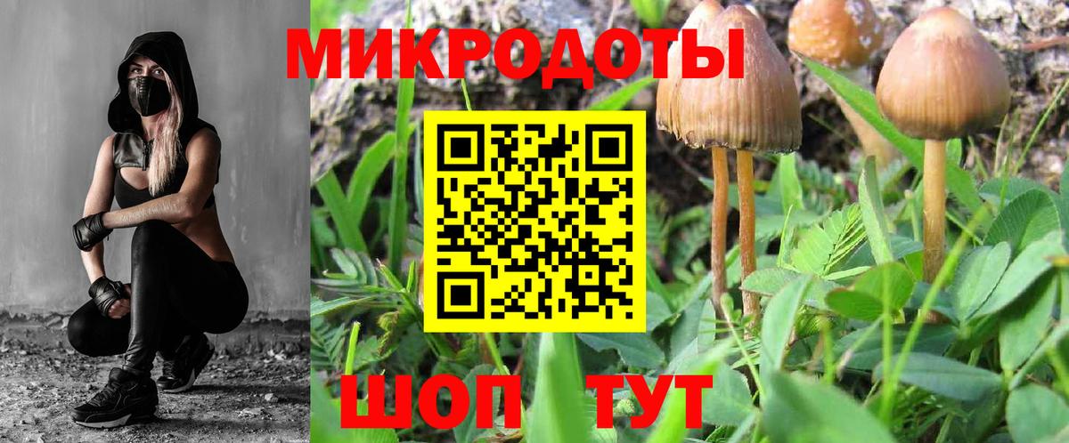 Костомукша  Псилоцибиновые грибы MAGIC MUSHROOMS  Вход с VPN 