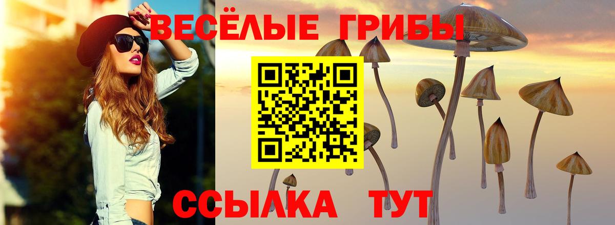 Лсд 25 Костомукша